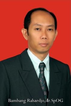 Foto Dr. dr. Bambang Rahardjo, Sp.OG(K)